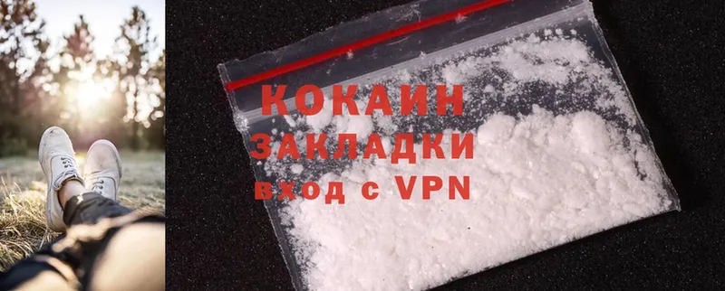 хочу   Правдинск  Cocaine Fish Scale 